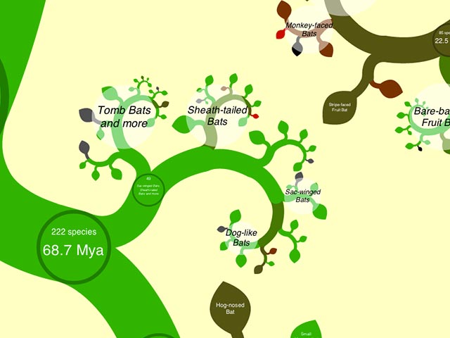 Capture d'écran du site - OneZoom Tree of Life Explorer