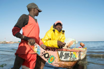 Pêche intensive : comment l’Europe affame l’Afrique